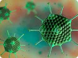 Bệnh nhi nhiễm virus adeno tăng cao bất thường