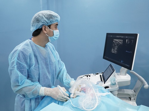 U vú, u tuyến giáp là gì? Chấn đoán sớm, điều trị hiệu quả