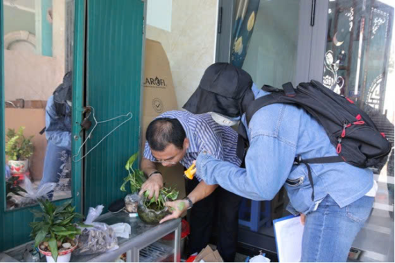 Sở Y Tế TP.HCM: đẩy mạnh các hoạt động kiểm soát số ca mắc sốt xuất huyết